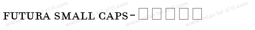 futura small caps字体转换